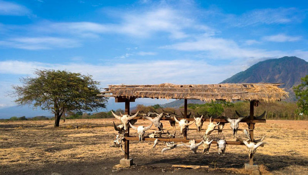 employee outing taman nasional baluran